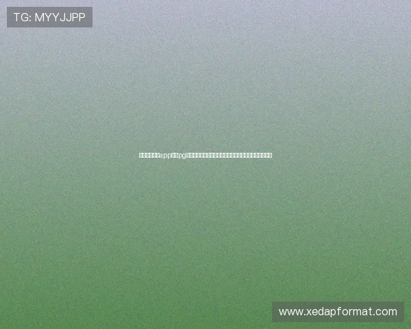 九游电子娱乐app下载pg结合体育娱乐与电子娱乐，为用户带来沉浸式世界杯体验